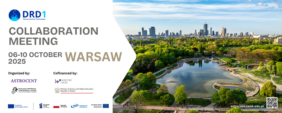 6th DRD1 Collaboration Meeting